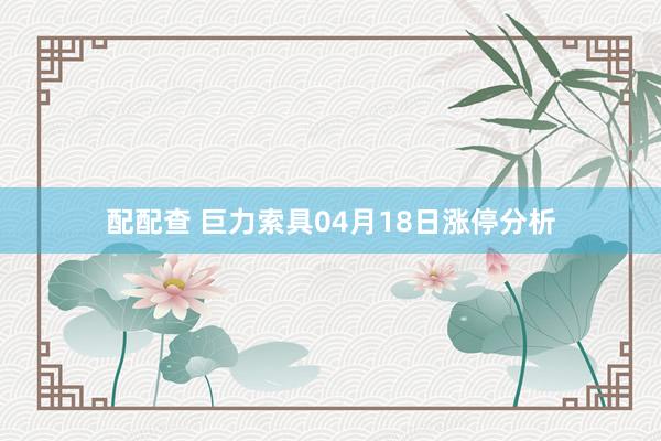 配配查 巨力索具04月18日涨停分析