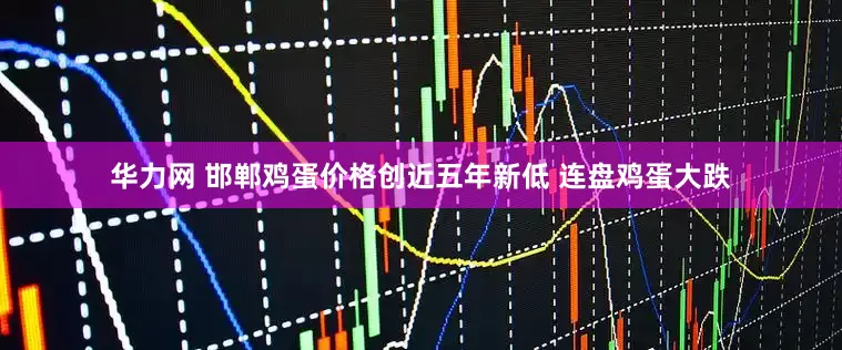 华力网 邯郸鸡蛋价格创近五年新低 连盘鸡蛋大跌